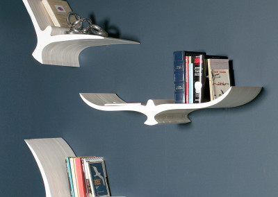 In Volo