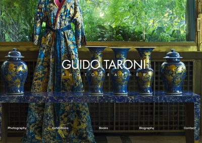 Guido Taroni – web design